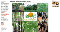 Desktop Screenshot of palmbeachbamboo.com