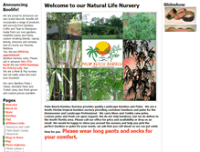 Tablet Screenshot of palmbeachbamboo.com